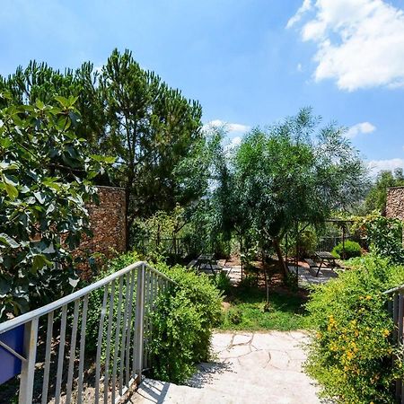 Tur Sinai Organic Farm Resort Jerozolima Zewnętrze zdjęcie