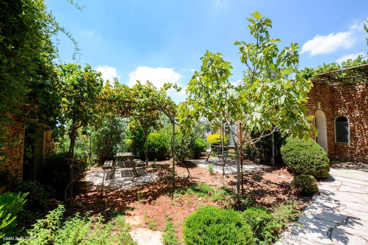 Tur Sinai Organic Farm Resort Jerozolima Zewnętrze zdjęcie