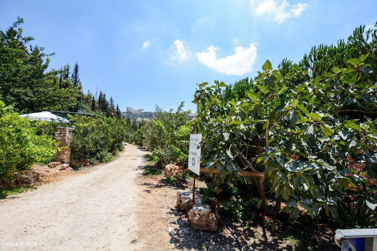 Tur Sinai Organic Farm Resort Jerozolima Zewnętrze zdjęcie