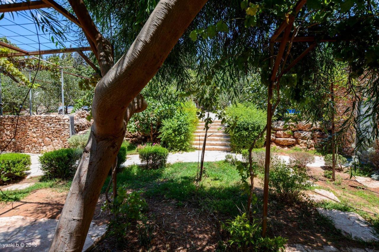 Tur Sinai Organic Farm Resort Jerozolima Zewnętrze zdjęcie