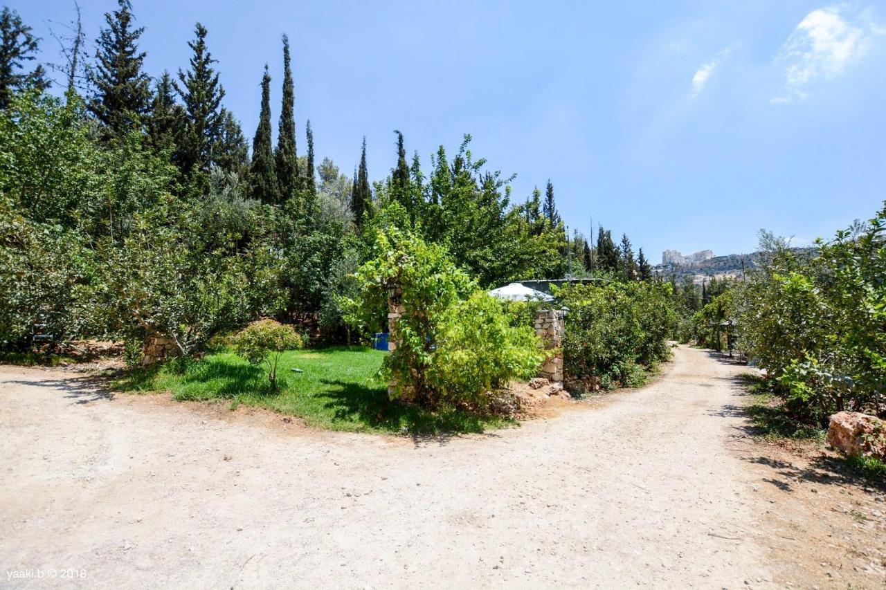 Tur Sinai Organic Farm Resort Jerozolima Zewnętrze zdjęcie