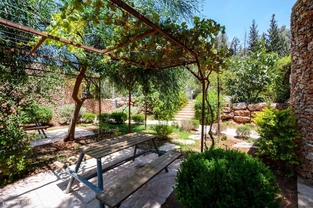 Tur Sinai Organic Farm Resort Jerozolima Zewnętrze zdjęcie