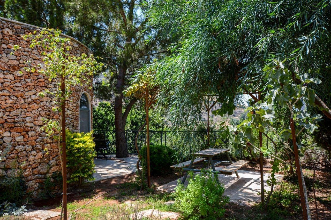 Tur Sinai Organic Farm Resort Jerozolima Zewnętrze zdjęcie