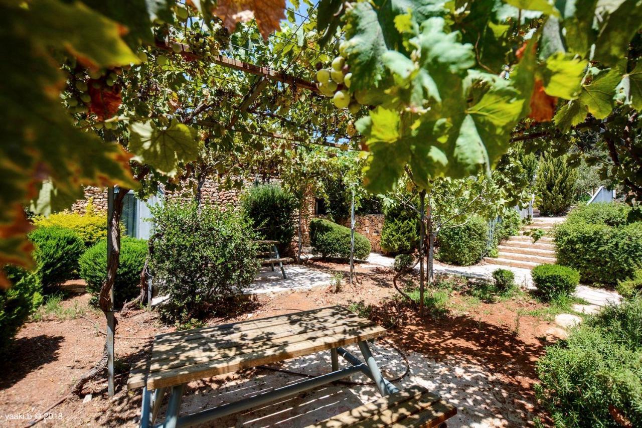 Tur Sinai Organic Farm Resort Jerozolima Zewnętrze zdjęcie