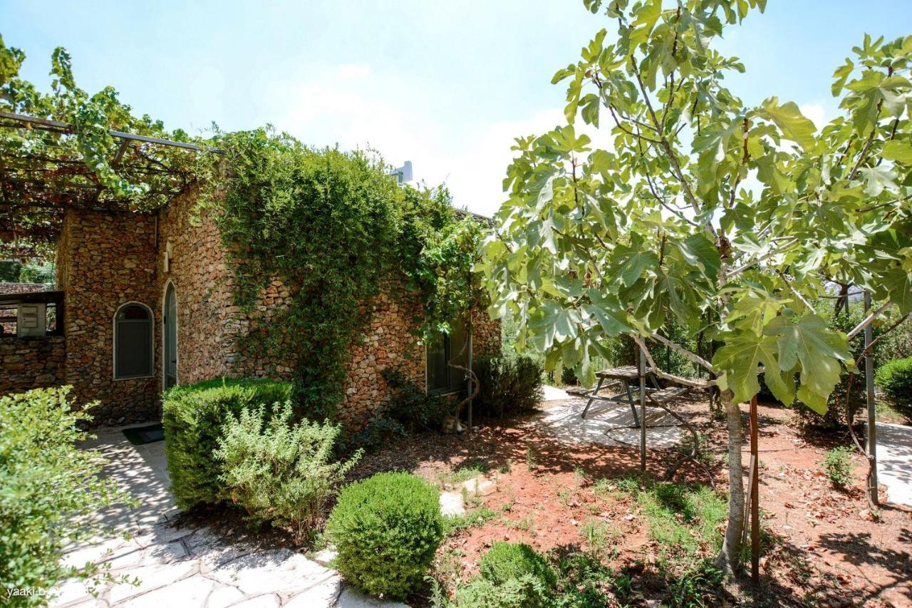 Tur Sinai Organic Farm Resort Jerozolima Zewnętrze zdjęcie